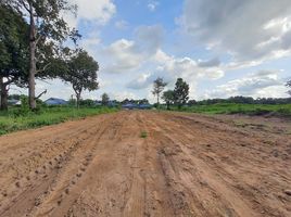  Land for sale in That, Warin Chamrap, That