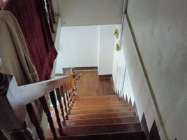 4 Bedroom Townhouse for sale in Nakhon Ratchasima, Pak Chong, Pak Chong, Nakhon Ratchasima