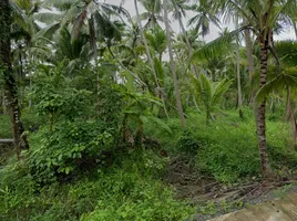  Land for sale in Mueang Surat Thani, Surat Thani, Bang Bai Mai, Mueang Surat Thani