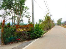  Grundstück zu verkaufen in Chiang Dao, Chiang Mai, Ping Khong, Chiang Dao, Chiang Mai