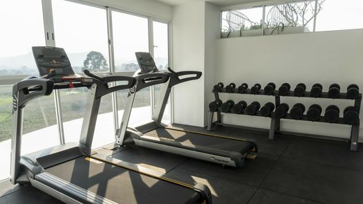 Photos 1 of the Fitnessstudio at Mirage Condominium
