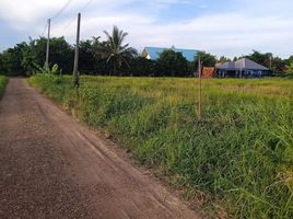  Grundstück zu verkaufen in Mueang Maha Sarakham, Maha Sarakham, Koeng