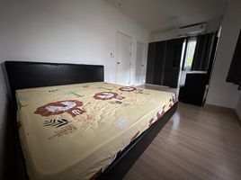 3 Schlafzimmer Reihenhaus zu verkaufen im Pruksa Ville Ratsada-Kohkeaw, Ko Kaeo, Phuket Town, Phuket