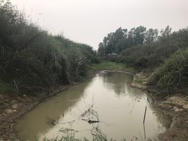  Grundstück zu verkaufen in Bang Rakam, Phitsanulok, Khui Muang, Bang Rakam, Phitsanulok