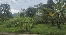 Unités disponibles à Chiangmai Lake Land