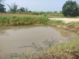  Grundstück zu verkaufen in Phanat Nikhom, Chon Buri, Na Wang Hin