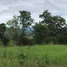  Land for sale in Wiang Nuea, Pai, Wiang Nuea