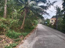  Grundstück zu verkaufen in Ko Pha-Ngan, Surat Thani, Ban Tai