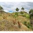  Land for sale in Loja, Loja, Yangana Arsenio Castillo, Loja