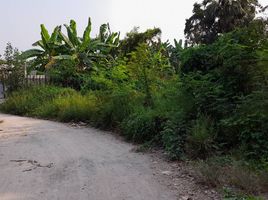  Land for sale in Thaiyawat, Nakhon Chai Si, Thaiyawat