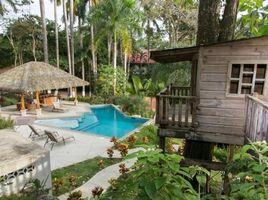 5 Schlafzimmer Haus zu verkaufen im Manuel Antonio, Aguirre