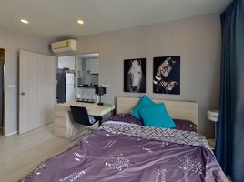 1 Schlafzimmer Wohnung zu verkaufen im Palm Springs Nimman (Parlor), Suthep