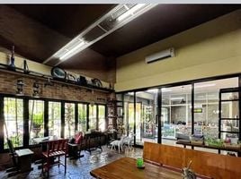 1 Schlafzimmer Shophaus zu verkaufen in Mueang Chiang Rai, Chiang Rai, San Sai, Mueang Chiang Rai, Chiang Rai, Thailand