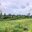  Land for sale in Chon Buri, Nong Kham, Si Racha, Chon Buri