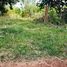  Land for sale in Nakhon Phanom, Ban Kho, Phon Sawan, Nakhon Phanom