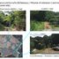  Land for sale in Phetchabun, Nai Mueang, Mueang Phetchabun, Phetchabun