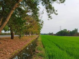  Grundstück zu verkaufen in Wang Noi, Phra Nakhon Si Ayutthaya, Wang Chula, Wang Noi