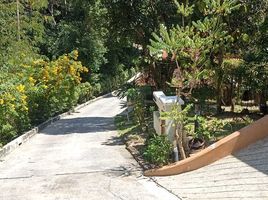  Land for sale in Maenam, Koh Samui, Maenam