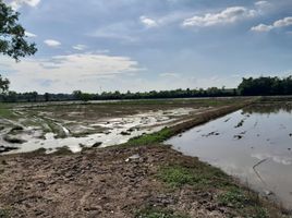  Grundstück zu verkaufen in Mueang Phichit, Phichit, Pak Thang