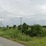  Grundstück zu verkaufen in Mueang Phitsanulok, Phitsanulok, Bueng Phra, Mueang Phitsanulok