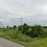  Land for sale in Bueng Phra, Mueang Phitsanulok, Bueng Phra