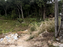  Grundstück zu verkaufen in Kathu, Phuket, Kamala, Kathu