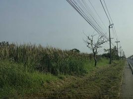  Land for sale in Lam Toiting, Nong Chok, Lam Toiting