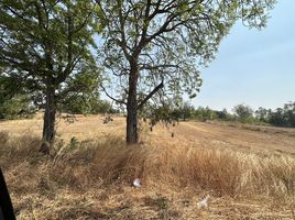  Land for sale in Nakhon Sawan, Udom Thanya, Tak Fa, Nakhon Sawan