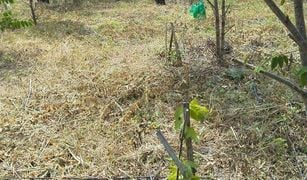 N/A Land for sale in Phrabat, Lampang 
