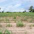  Land for sale in Suphan Buri, Bo Kru, Doem Bang Nang Buat, Suphan Buri