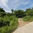  Land for sale in Chumphon, Thung Takhrai, Thung Tako, Chumphon