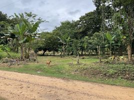  Grundstück zu verkaufen in Santa Cruz De Yojoa, Cortes, Santa Cruz De Yojoa, Cortes, Honduras