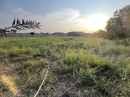  Grundstück zu verkaufen in Bang Nam Priao, Chachoengsao, Bueng Nam Rak