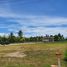  Land for sale in Wang Phong, Pran Buri, Wang Phong