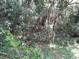  Land for sale in Chame, Panama Oeste, Sora, Chame