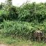  Land for sale in Saraburi, Dao Rueang, Mueang Saraburi, Saraburi