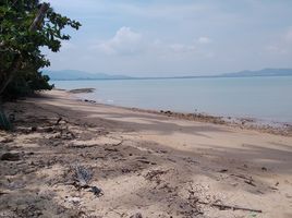  Grundstück zu verkaufen in Phuket Town, Phuket, Ko Kaeo