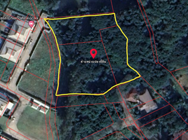  Grundstück zu verkaufen in Saraphi, Chiang Mai, Tha Wang Tan, Saraphi