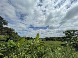 在Phu Po, Mueang Kalasin出售的 土地, Phu Po