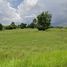  Land for sale in Surin, Nok Mueang, Mueang Surin, Surin