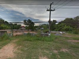  Land for sale in Ban Dan Lan Hoi, Sukhothai, Wang Takhro, Ban Dan Lan Hoi