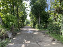  Land for sale in San Kamphaeng, Chiang Mai, San Kamphaeng, San Kamphaeng