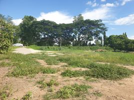  Land for sale in Hang Dong, Chiang Mai, Khun Khong, Hang Dong