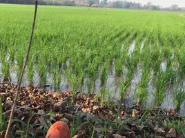  Grundstück zu verkaufen in Wiang Chai, Chiang Rai, Pha Ngam