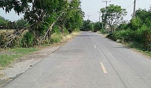 Bueng Ka Sam, Pathum Thani တွင် N/A မြေ ရောင်းရန်အတွက်