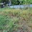  Land for sale in Bang Bua Thong, Nonthaburi, Bang Rak Phatthana, Bang Bua Thong