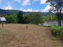  Land for sale in Phuket, Pa Khlok, Thalang, Phuket