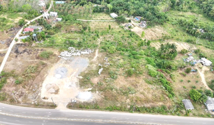 N/A Grundstück zu verkaufen in Ko Klang, Krabi 