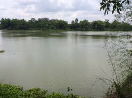  Land for sale in Phibun Mangsahan, Ubon Ratchathani, Pho Sai, Phibun Mangsahan