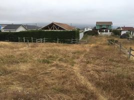  Land for sale in La Ligua, Petorca, La Ligua